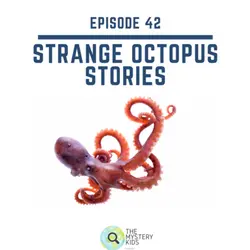42: Strange Octopus Stories