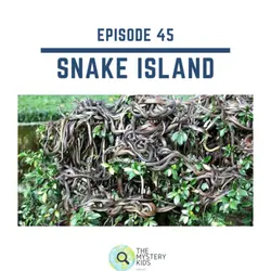 45: Snake Island