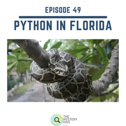 49: Pythons in Florida