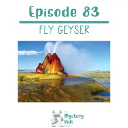 83: Fly Geyser
