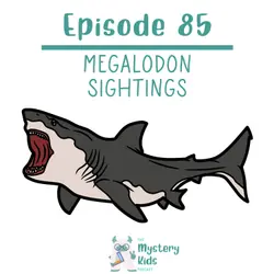 85: Megalodon Sightings