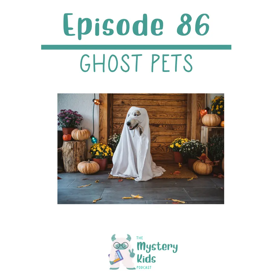 The Mystery Kids Podcast