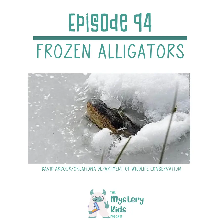 The Mystery Kids Podcast