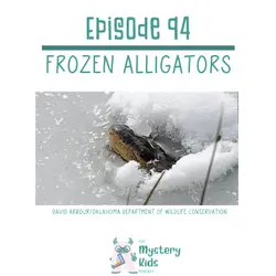 94: Frozen Alligators