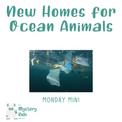 MM: New Homes for Ocean Animals