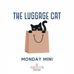 MM: The Luggage Cat 