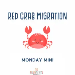 Monday Mini: Red Crab Migration