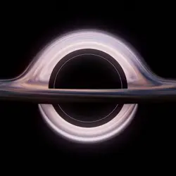 Black Holes