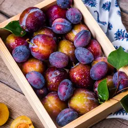 Fruit Makes Us Happy