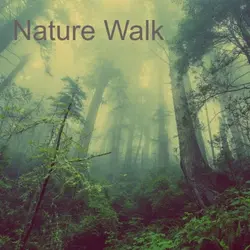 Nature Walk
