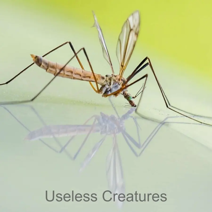 Nature and Science 4 Kids