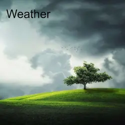 Weather