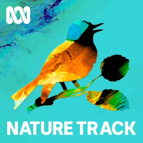 Nature Sounds