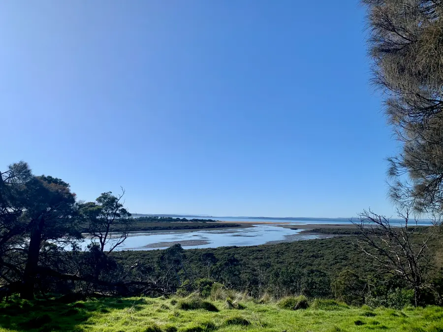 Nature Sounds