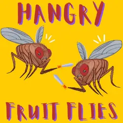 Hangry fruit flies, clean air breakthrough, Spain’s robot chef, “sky pool” scares
