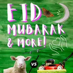 Happy Eid, COVID kindness, biggest plane, butterfly back, sheep-V-lawnmowers