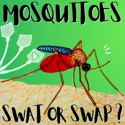 Kid News This Week: Battle against mosquitoes, beavers are back, clean cling-film, cow-poo zapper
