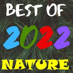 Kid News This Week: Best nature stories of 2022!