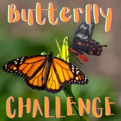 Kid News This Week: Butterfly challenge, Ukraine update and happy take, world's oldest pants