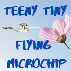 Kid News This Week: Flying microchips, Kerala exodus, California “snake-mare,” airport pig patrol