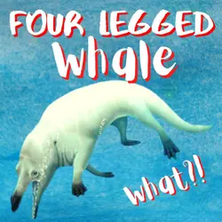 Kid News This Week: Four-legged whale, hurricane explainer, new baseball, flying cows, hearty sheep