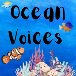 Kid News This Week: Ocean voices, ancient cave art, stolen Van Gogh and lying down competition