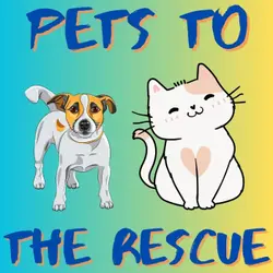 Kid News This Week: Pets to the rescue in Ukraine, cat allergy vaccine, India’s 1st surf competition, cat yoga twist