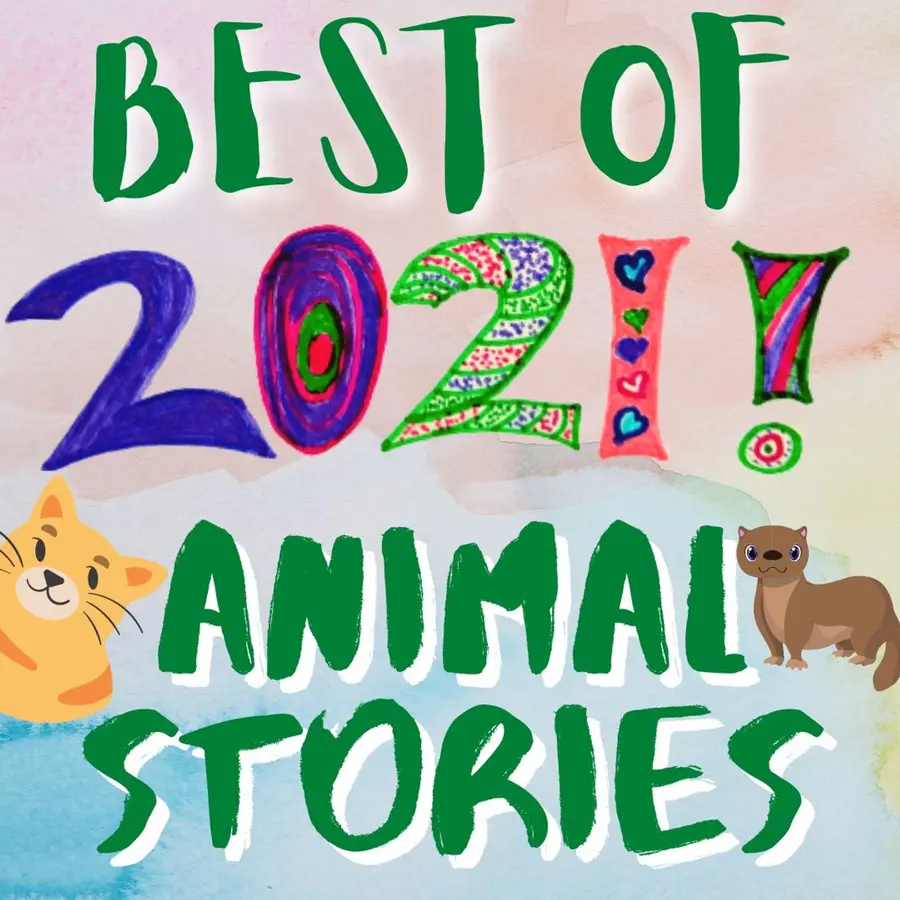 Newsy Pooloozi - The News Pod for Kids