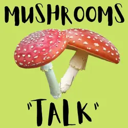 Kids News This Week: Mushrooms "talk," dancing powers a nightclub, new tennis era, dog cafe