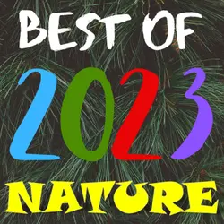 Listen back to our best nature and animal stories of 2023!
