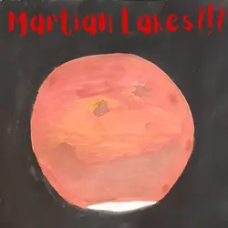 Martian lakes, $23 million titanium toilet, longest highway tunnel, Solely Sunshine girl, COVID-19 dogs