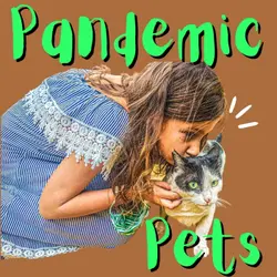 Pandemic pet craze, happiest country, sushi name-change, Rubik’s Cube shock