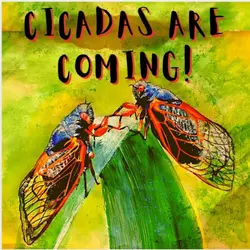 Swarming cicadas, germ warrior, cookie meltdown, book club craze, ugly fish