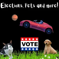 Weird voting, suffrajitsus, detect pet’s mood and make cats smile, Starman and space nugget