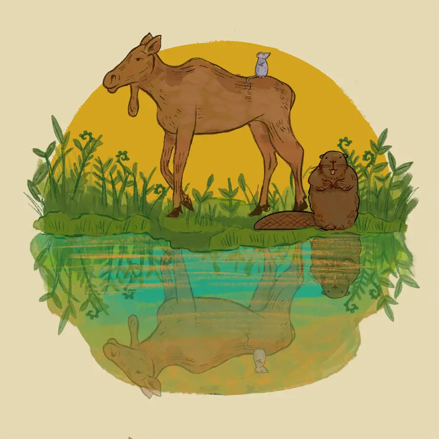 Once Upon a Meadow