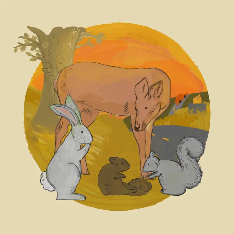 Once Upon a Meadow