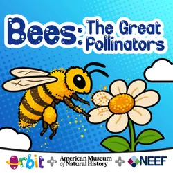 Bees: The great pollinators!