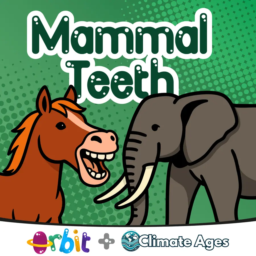 Orbit: Science for kids on the move!