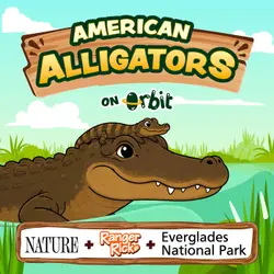 Why are alligator moms so awesome?