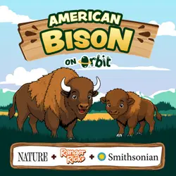 Why do bison body-slam trees?