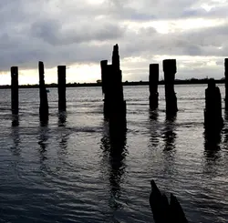 101 At Benfleet Creek