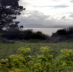 123 A sound-view from Orcombe Point on the Jurassic coast