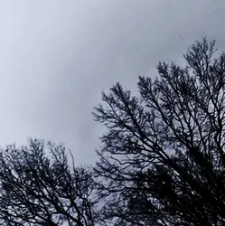 139 Old rafters brewing storm