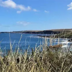 150 Looking down on Coldingham Sands (January special 2 / 4)