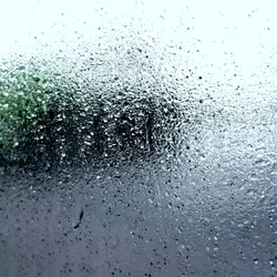 156 Sheltered under night rain (sleep safe and high definition sound)