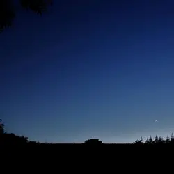 173 Deep forest time (long & sleep safe)