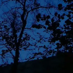 184 River rilling through Miller’s Dale (sleep safe, hour-long)