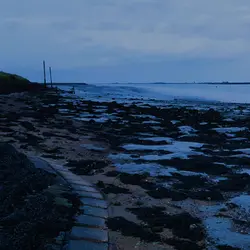 205 Soundscenes of a changing tide (sleep safe)