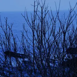 227 Light rain on the headland (sleep safe)