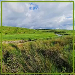 231 Streams and rivers - Intermission 1